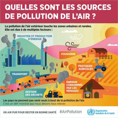 Communiqué de l'OMS sur la Pollution de l'Air et la Santé