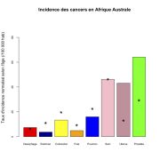 Afrique Australe